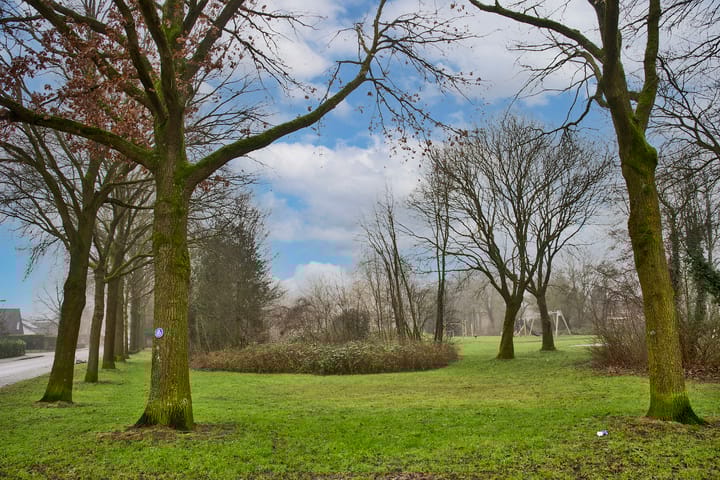 Foto 50 van Gruttostraat 2