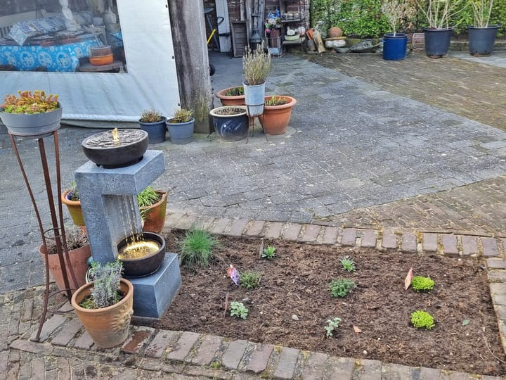 Foto 58 van Baarloseweg 31