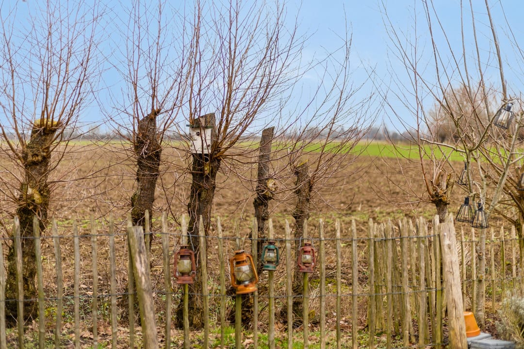 Photo 62 of Veesser Enkweg 58