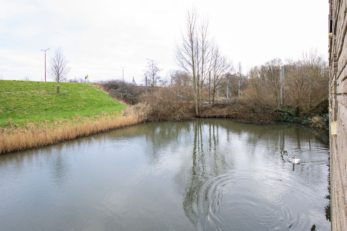 Photo 40 of Heidehoeve 59