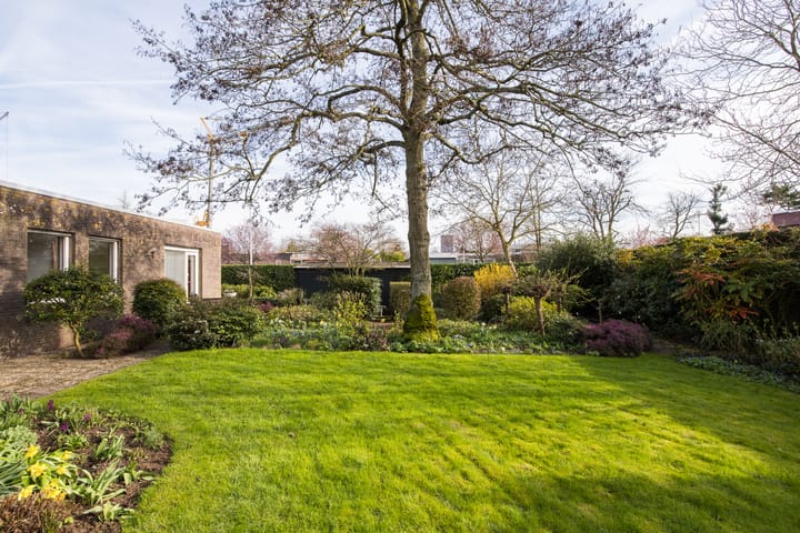 Foto 14 van Caesarlaan 1