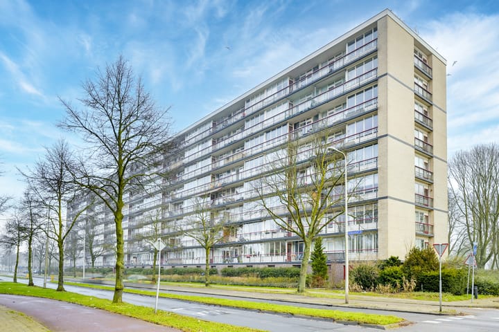 Foto 43 van Korfoedreef 55