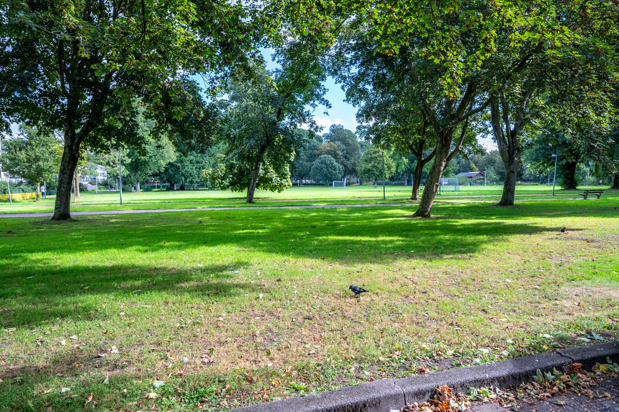 Foto 45 van Korfoedreef 55