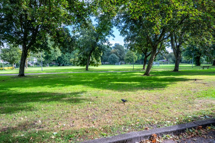 Foto 45 van Korfoedreef 55