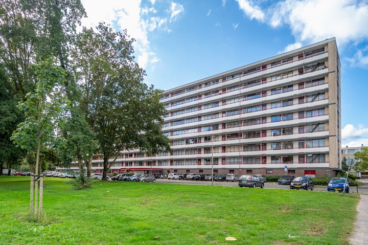 Foto 46 van Korfoedreef 55