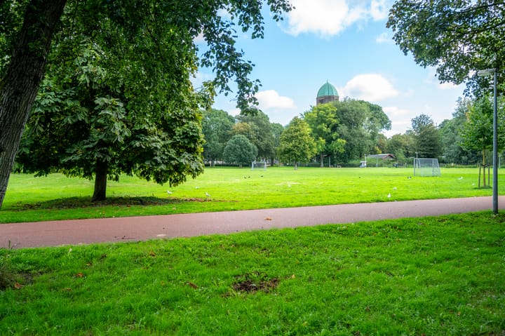 Foto 47 van Korfoedreef 55