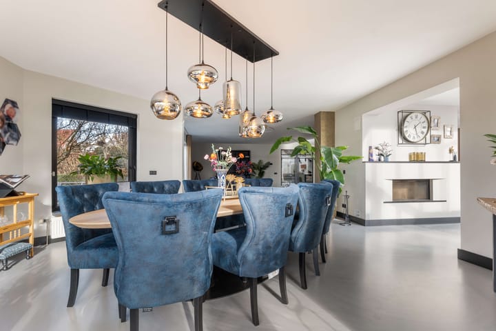 Foto 20 van Zwarthalszwaan 11