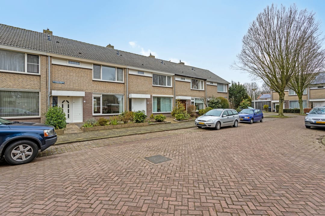 Foto 8 van Tetrodestraat 28