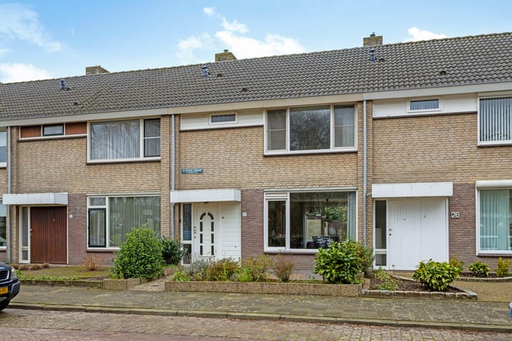 Foto 10 van Tetrodestraat 28