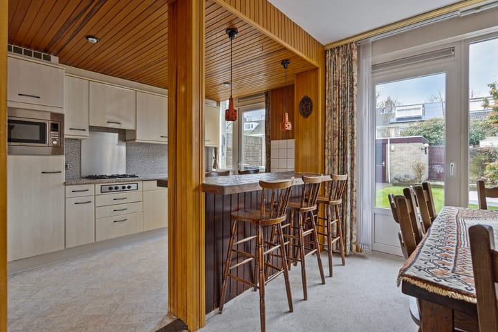 Foto 3 van Tetrodestraat 28