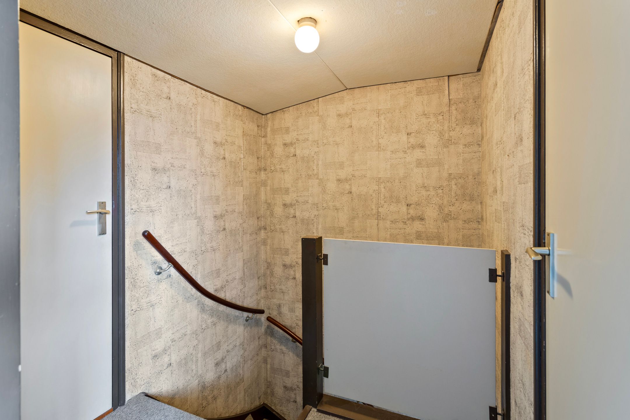 Foto 36 van Tetrodestraat 28