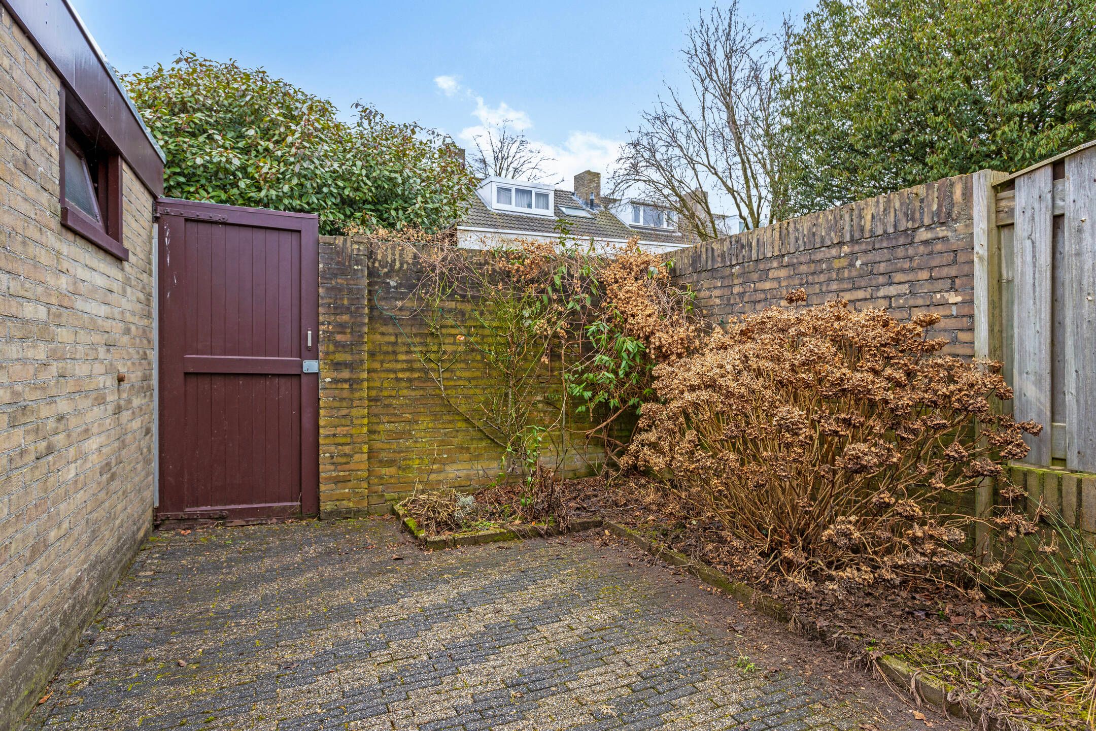 Foto 42 van Tetrodestraat 28