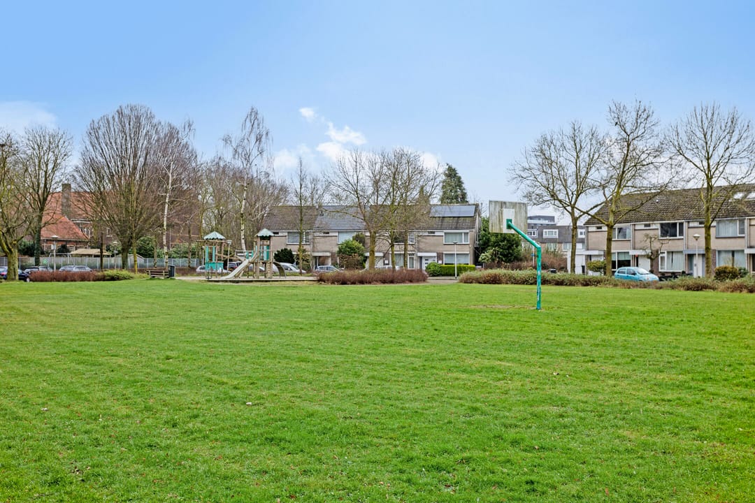 Foto 46 van Tetrodestraat 28