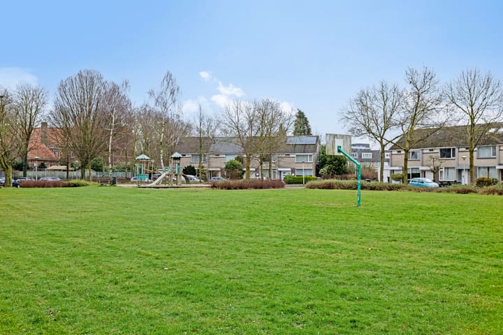 Foto 46 van Tetrodestraat 28