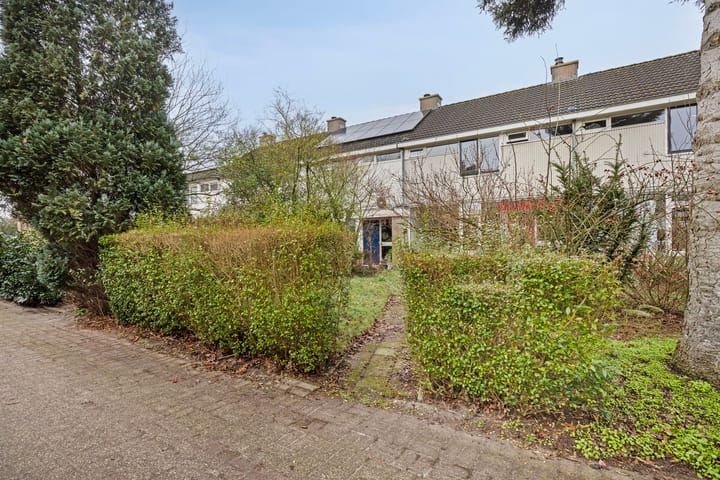 Foto 5 van Burmaniahuis 8