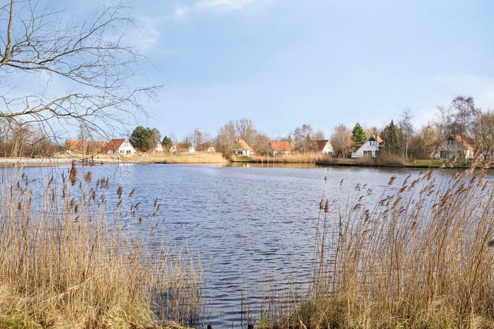 Foto 1 van De Rug 3-172