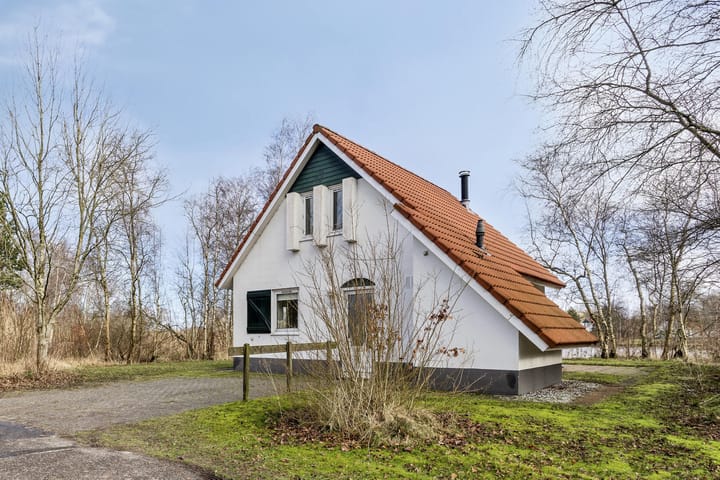 Foto 2 van De Rug 3-172