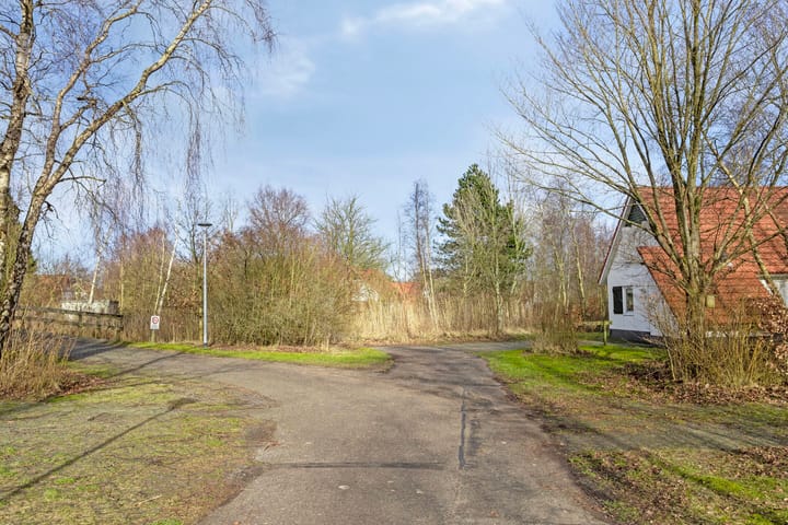 Foto 29 van De Rug 3-172