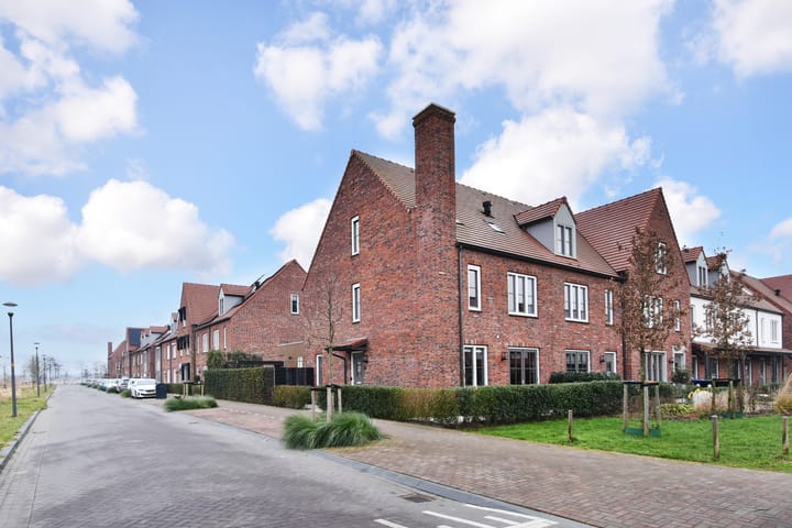 Foto 5 van Palissanderhout 30