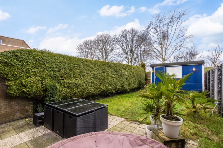 Foto 19 van Duizendblad 68