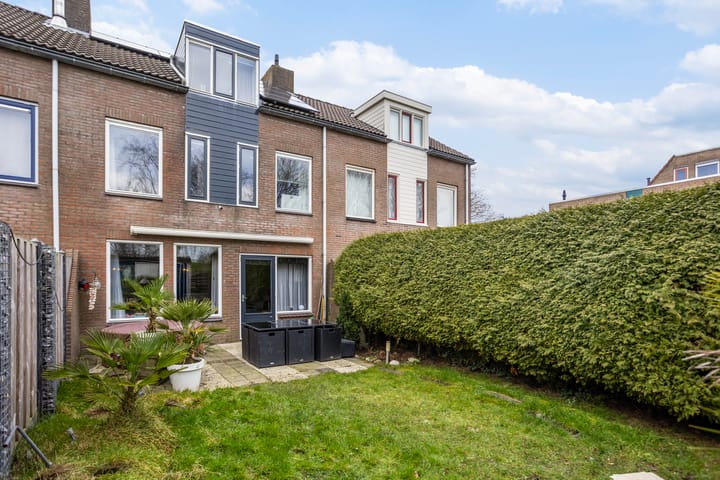 Foto 23 van Duizendblad 68