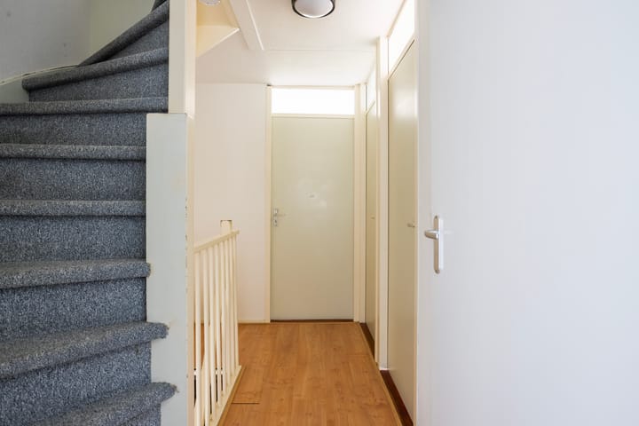 Foto 25 van Duizendblad 68