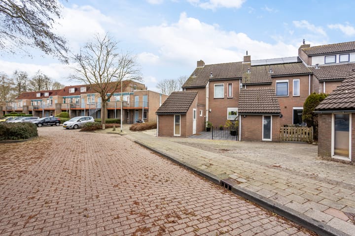 Foto 42 van Duizendblad 68