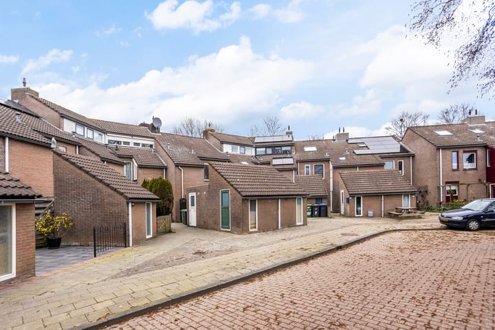 Foto 43 van Duizendblad 68