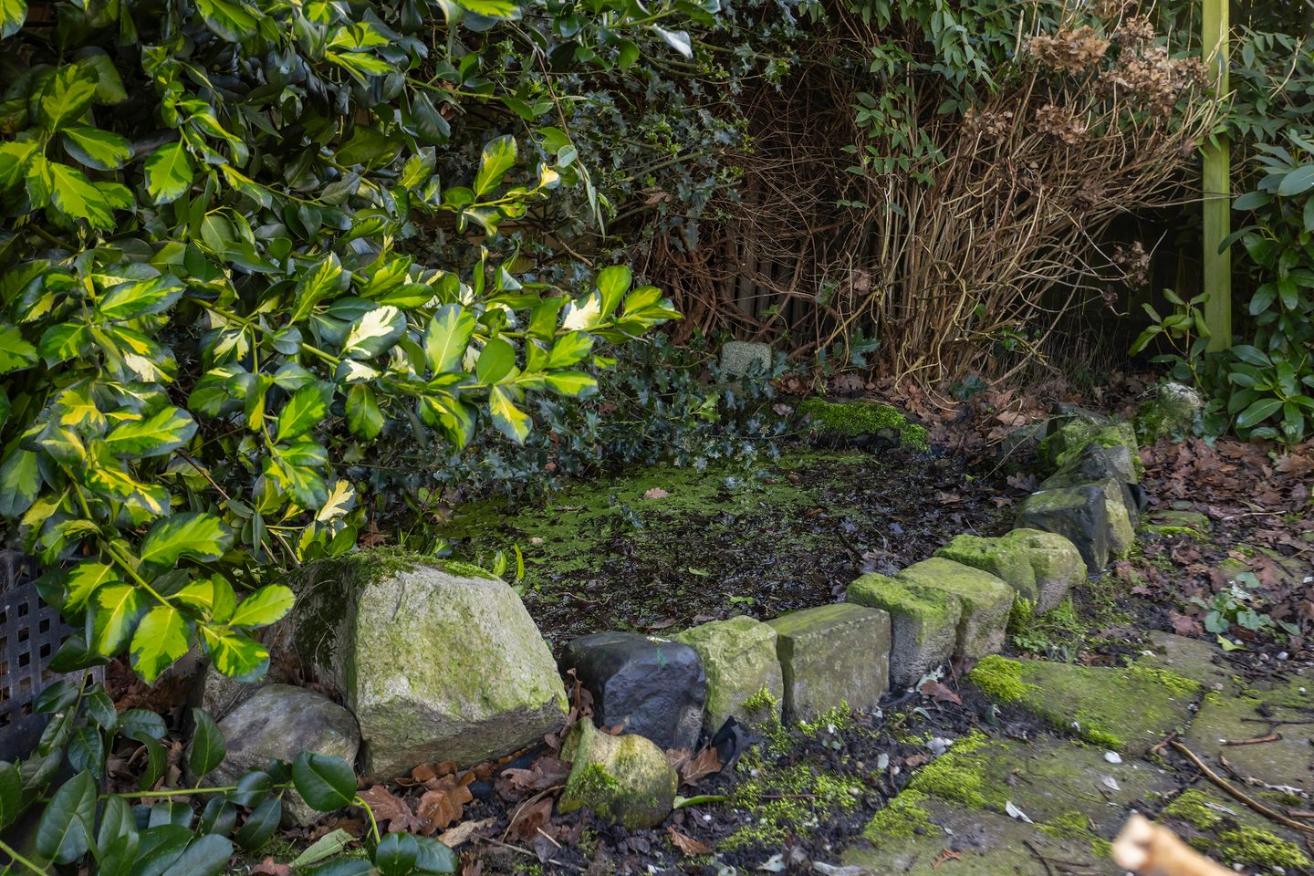 Foto 20 van Pastorijelannen 16