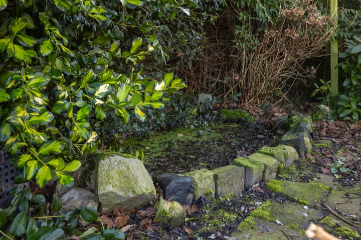 Foto 20 van Pastorijelannen 16