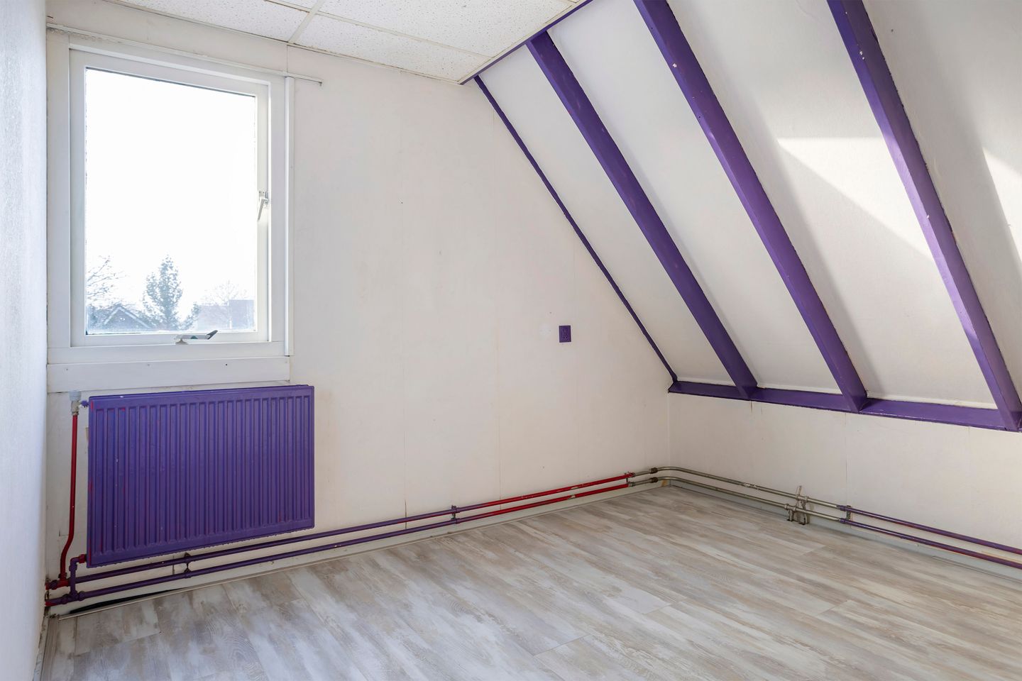 Foto 34 van Pastorijelannen 16