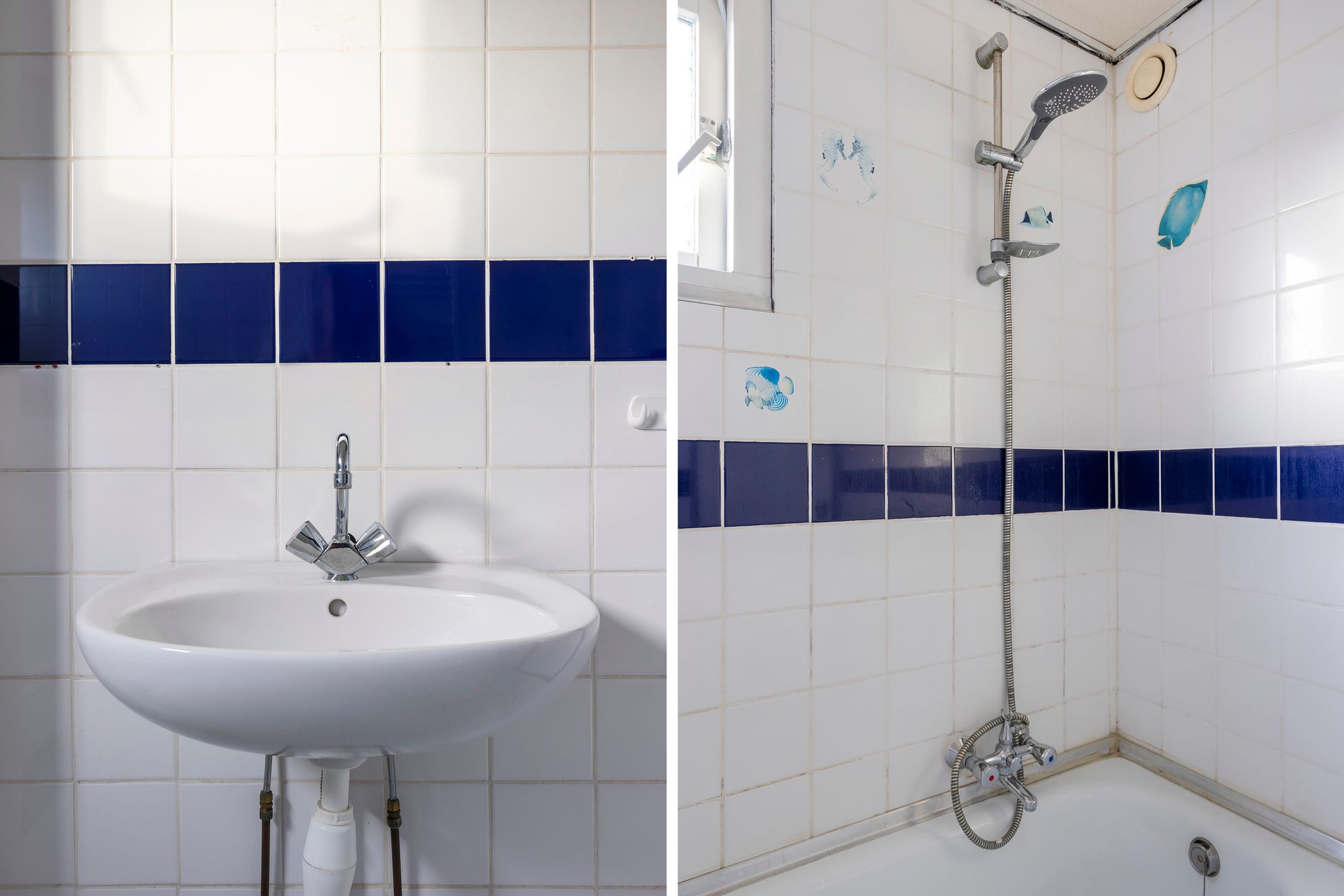 Foto 42 van Pastorijelannen 16