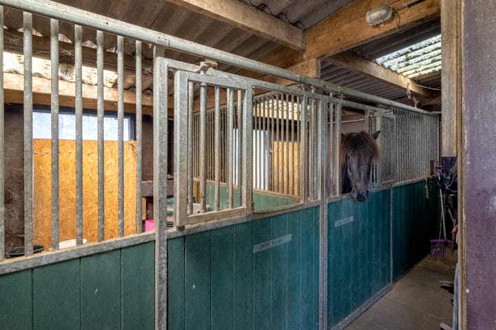 Foto 33 van Wormerpad 3