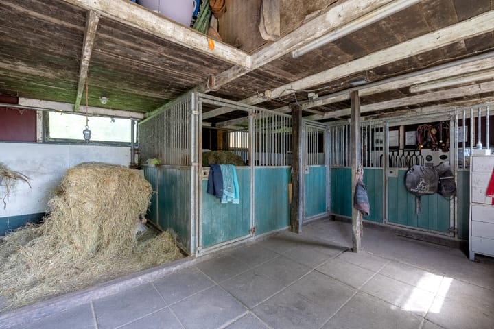 Foto 34 van Wormerpad 3