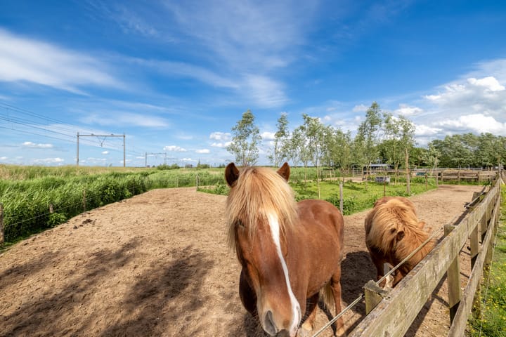 Foto 41 van Wormerpad 3