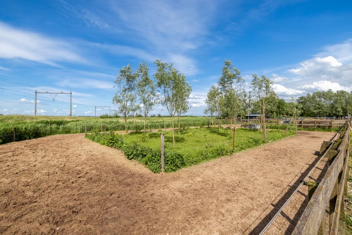 Foto 42 van Wormerpad 3