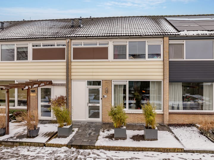 Foto 58 van Lupinestraat 19