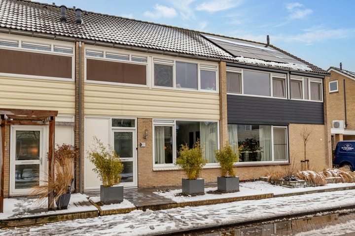 Foto 60 van Lupinestraat 19