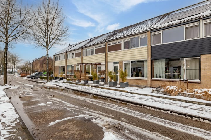 Foto 61 van Lupinestraat 19