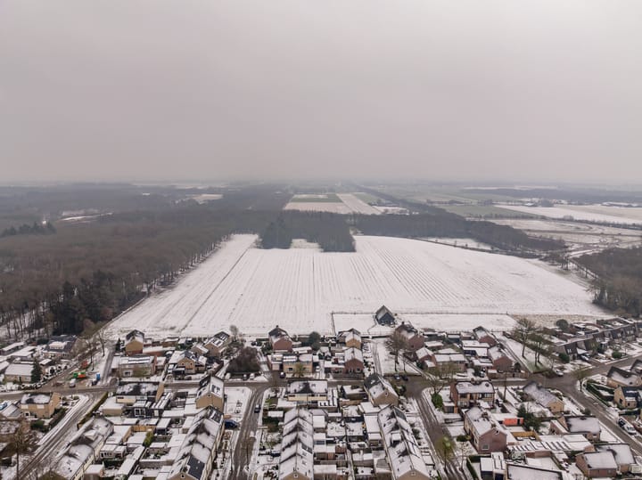 Foto 64 van Lupinestraat 19