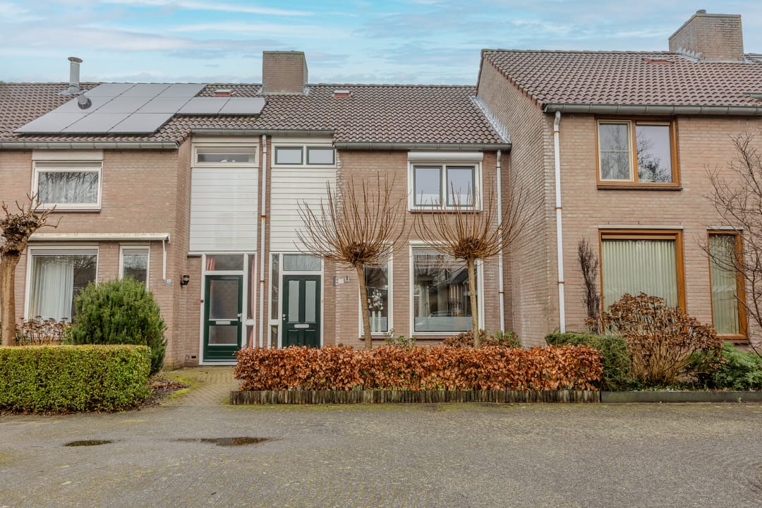 Foto 1 van Pitrus 17