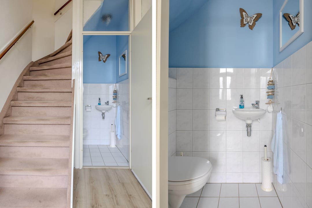 Foto 7 van Pitrus 17