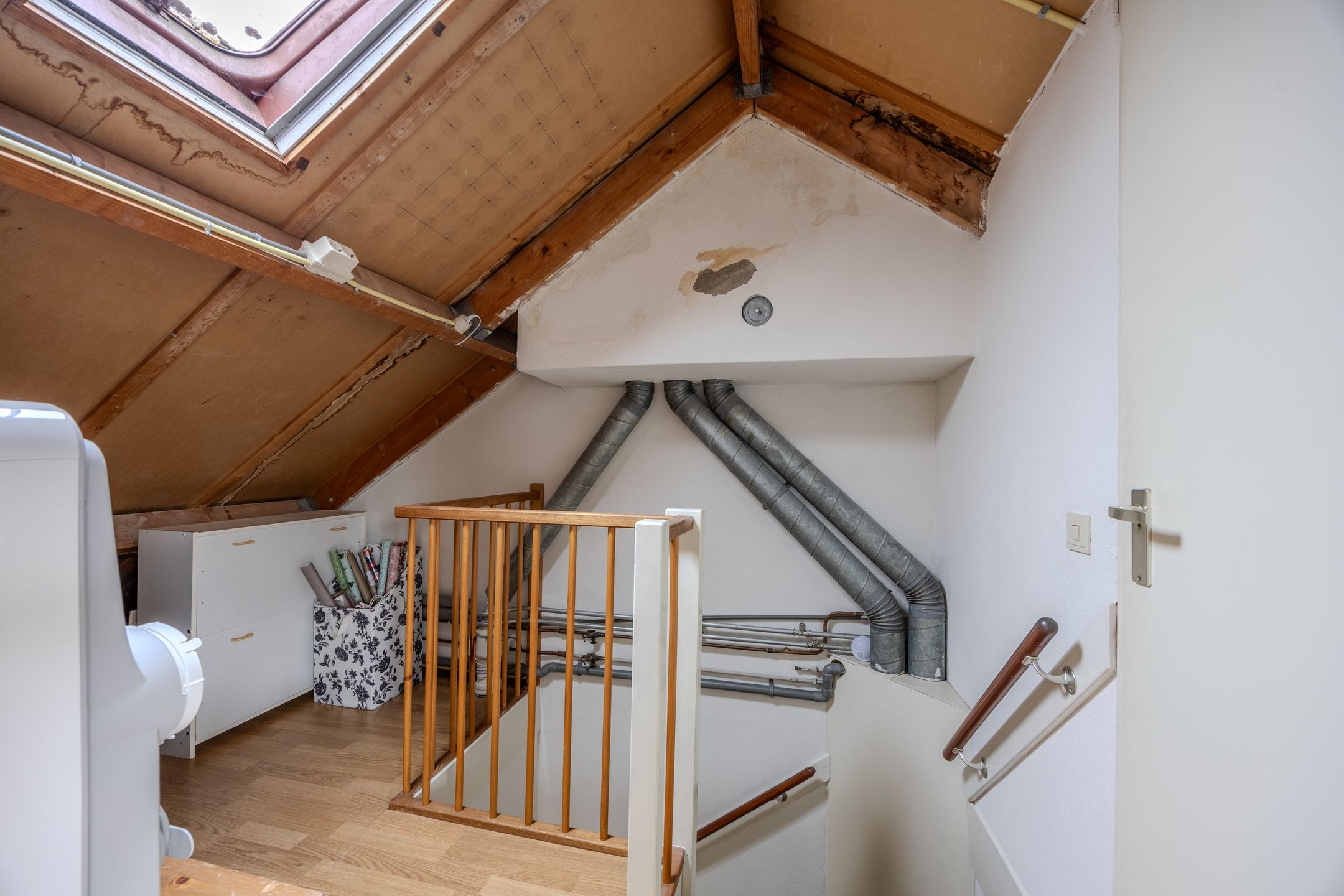 Foto 30 van Pitrus 17