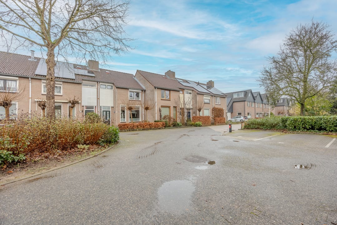 Foto 37 van Pitrus 17