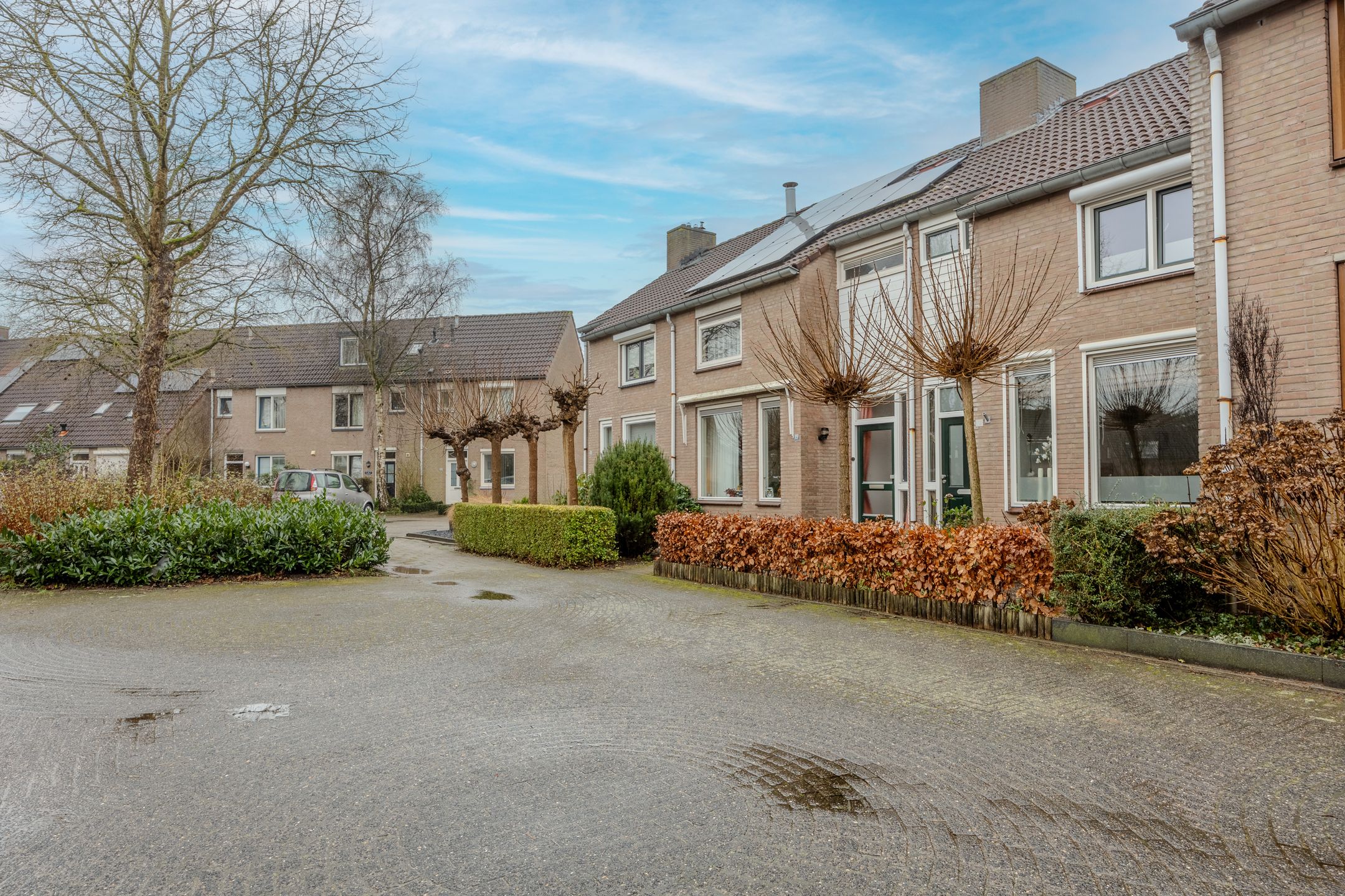 Foto 39 van Pitrus 17