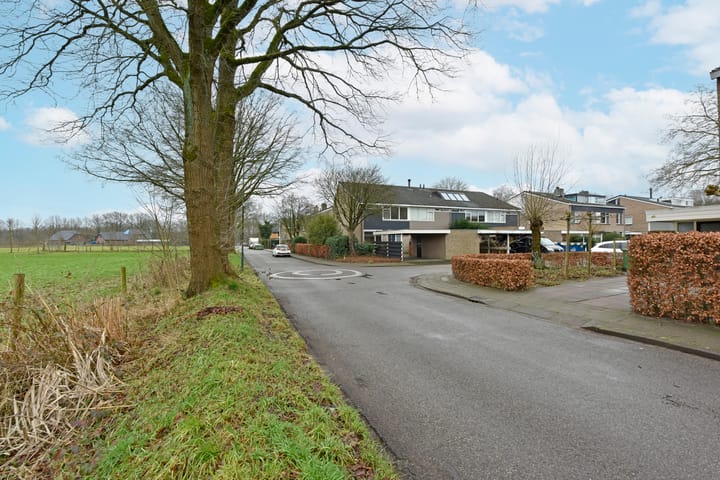 Foto 43 van Neptunushof 11