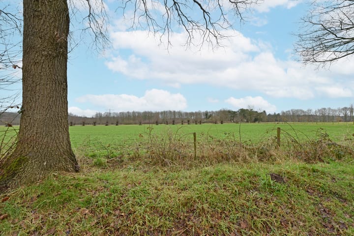 Foto 44 van Neptunushof 11