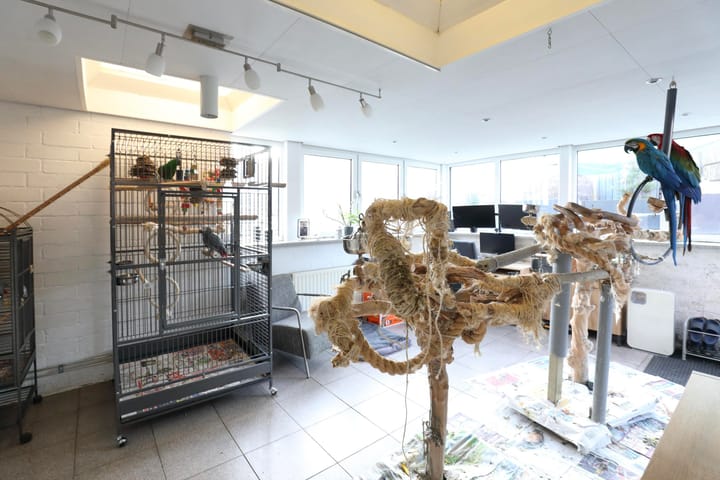 Foto 14 van Torenstraat 7