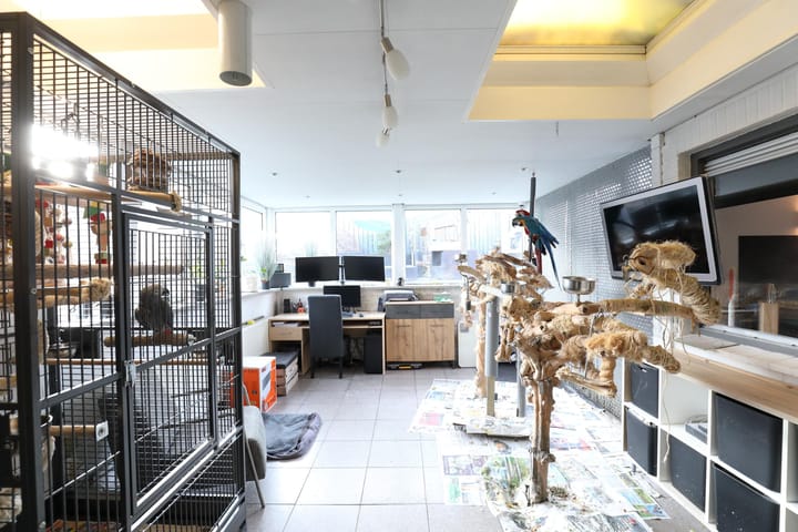 Foto 13 van Torenstraat 7