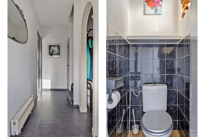 Photo 13 of Ring 237